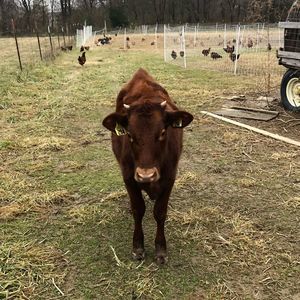 Meet your Posher, Max